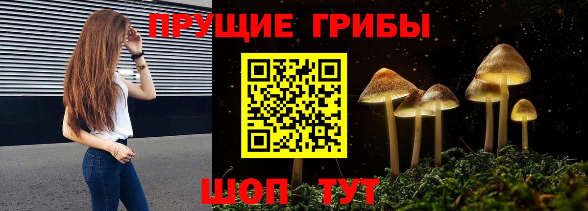 Валуйки  Псилоцибиновые грибы ЛСД  Псилоцибиновые грибы прущие грибы  Вход с VPN 