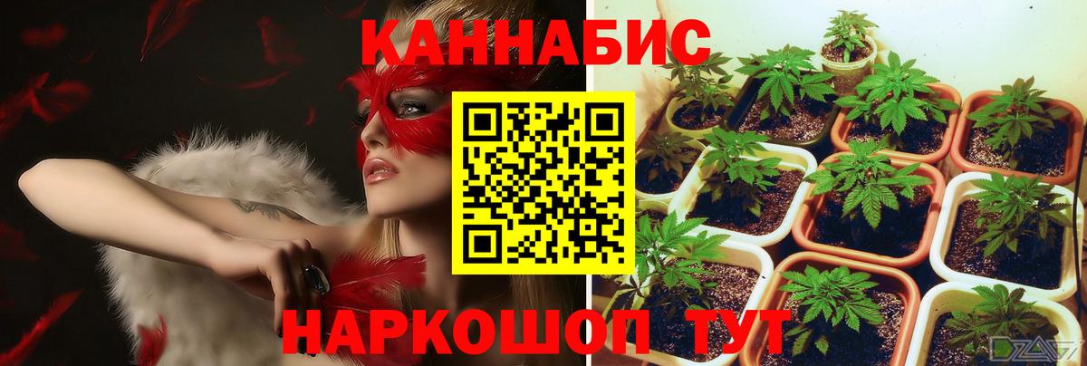 Бошки Шишки планчик  Каннабис марихуана  Вход с VPN  Конопля VHQ  Бошки Шишки гибрид  Валуйки 